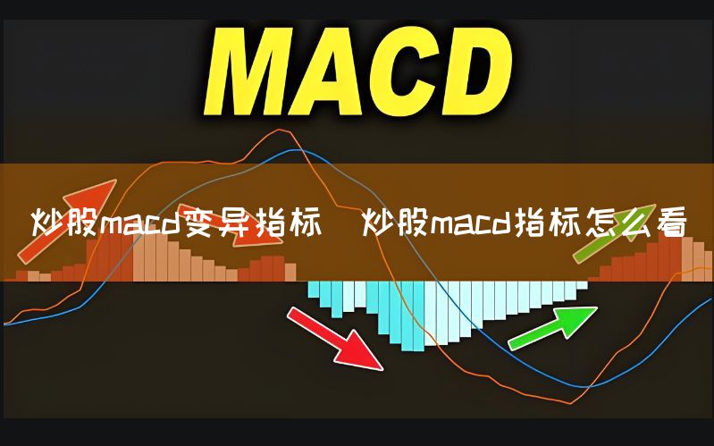 <strong>炒股macd变异指标(炒股macd指标怎么看)</strong>